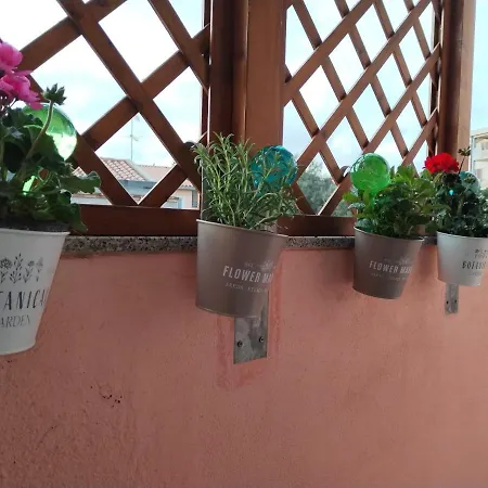 L'acquario 维拉西米乌斯