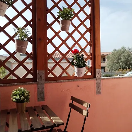 L'acquario 维拉西米乌斯