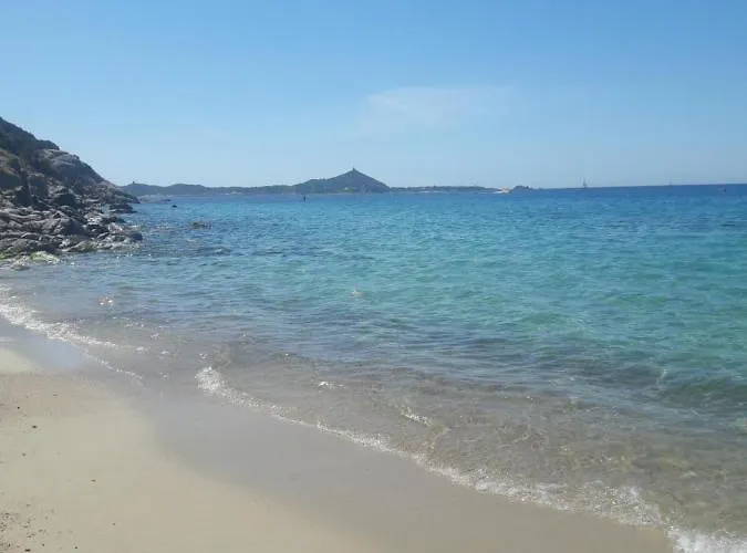 L'acquario * וילסימיוס