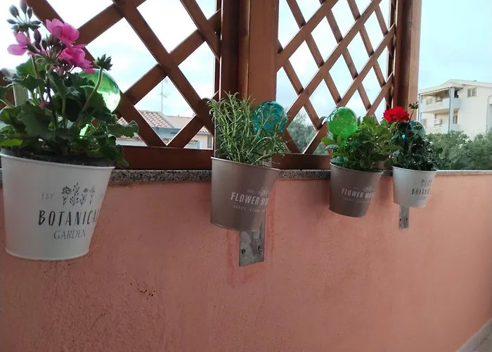 L'acquario וילסימיוס