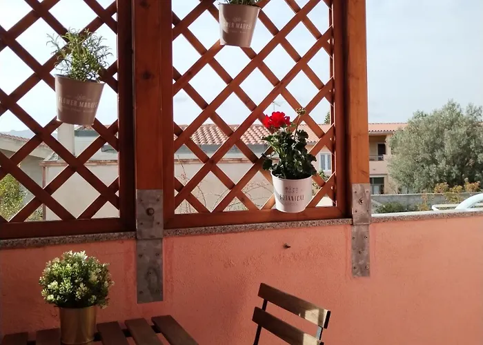 L'acquario ヴィッラシミーウス